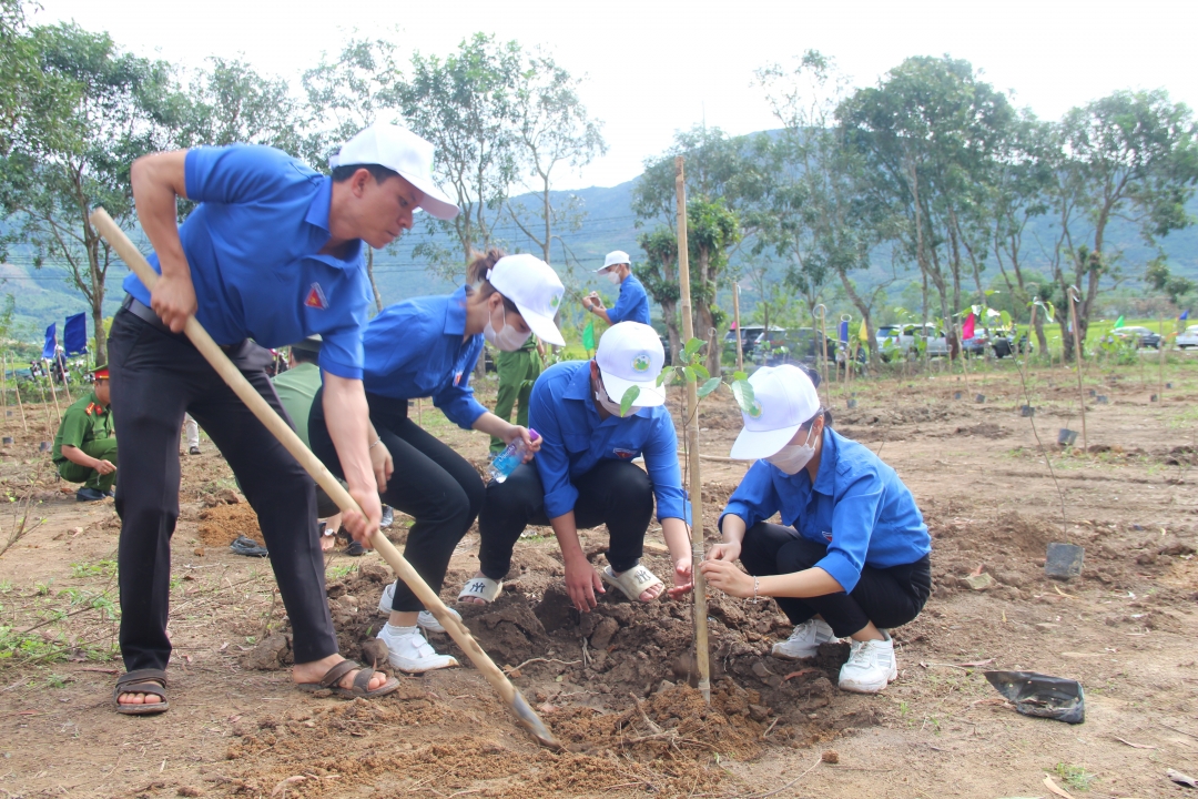 Lunar New Year 2024 tree–planting campaign to take place Feb.15