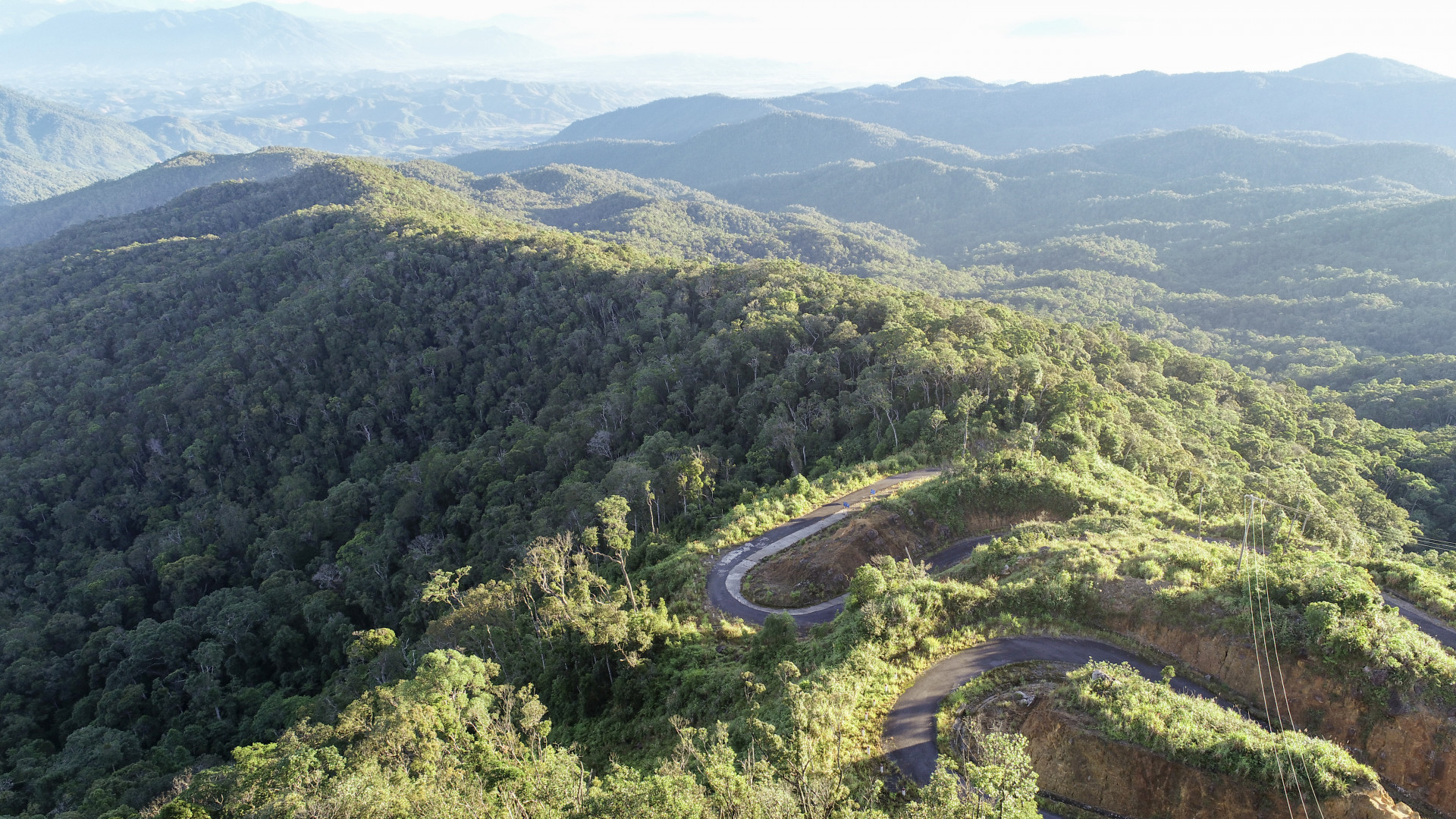 Sustaining lush green forests