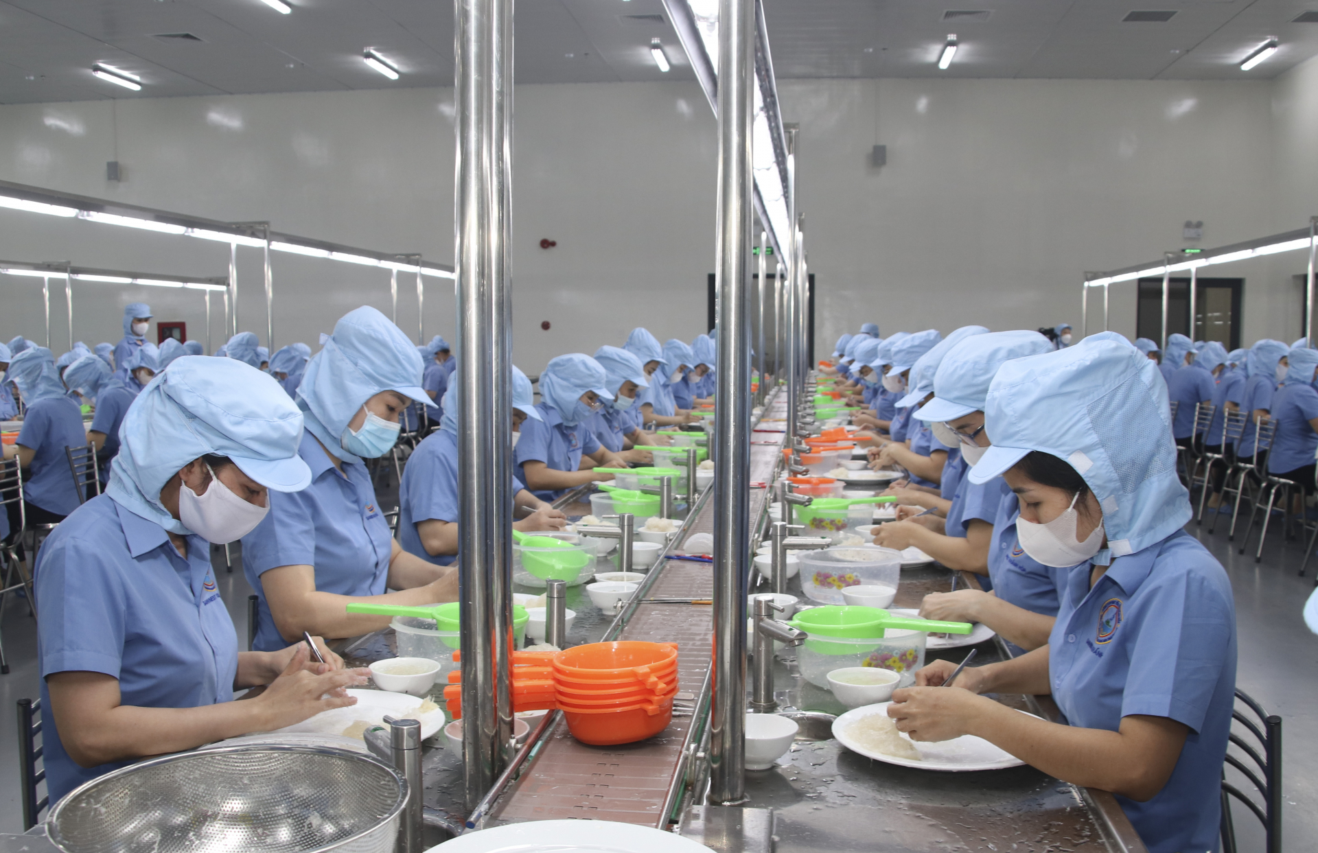 Prospects for exporting salangane nest products