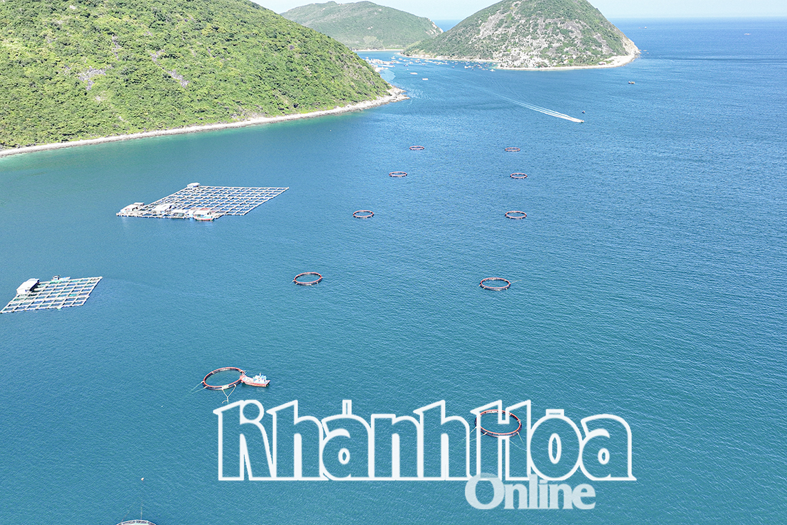 Khanh Hoa launches high-tech marine aquaculture