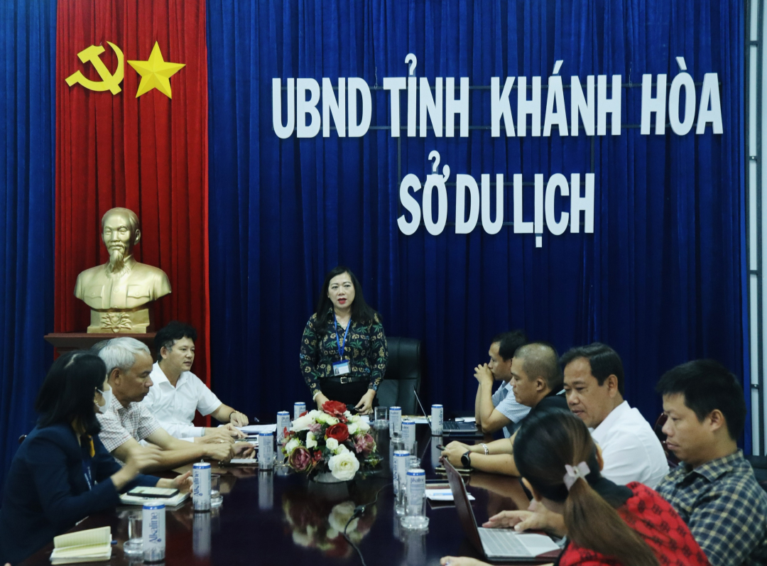 Airline promotion offers proposed for tourism promotion