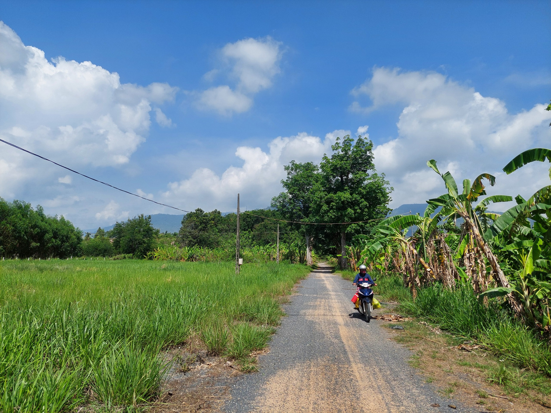 Project on road to Dr. A. Yersin's tomb site under public opinion survey