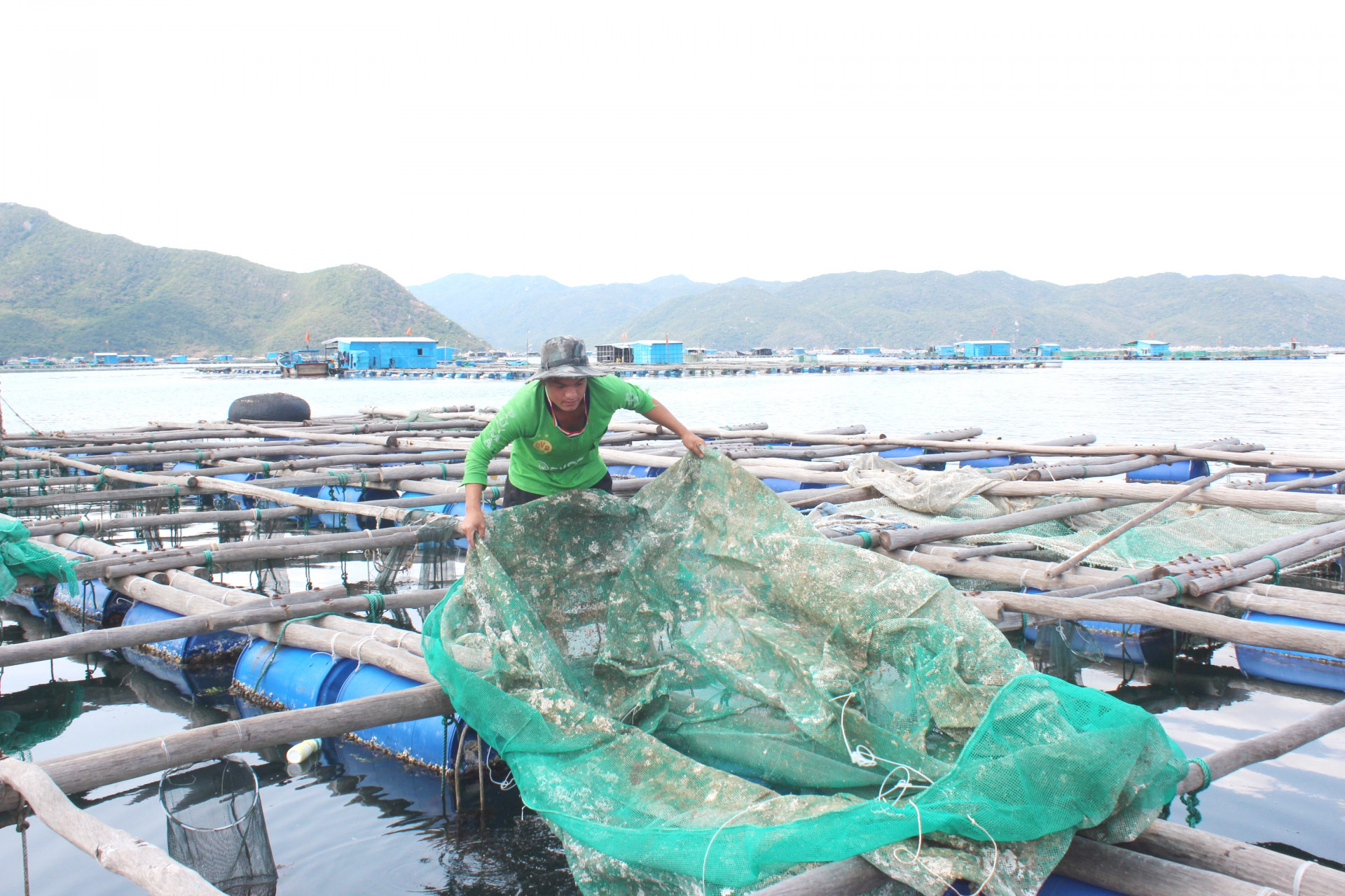 Opening new work opportunities for residents