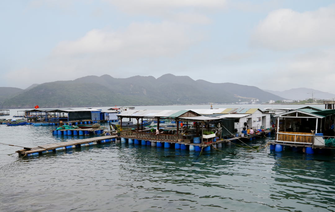 Vinh Nguyen Ward: Farmers focus on developing marine economy