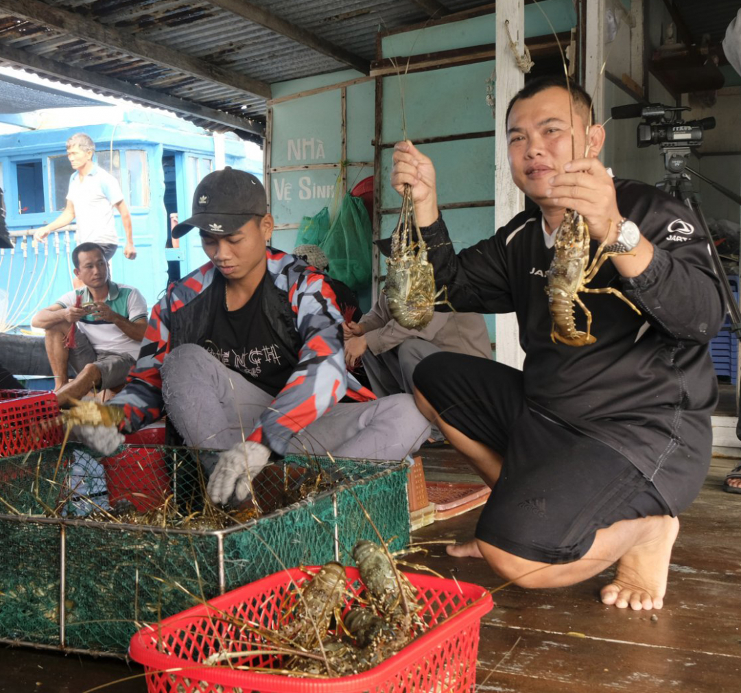 Strengthening linkages in lobster production and consumption