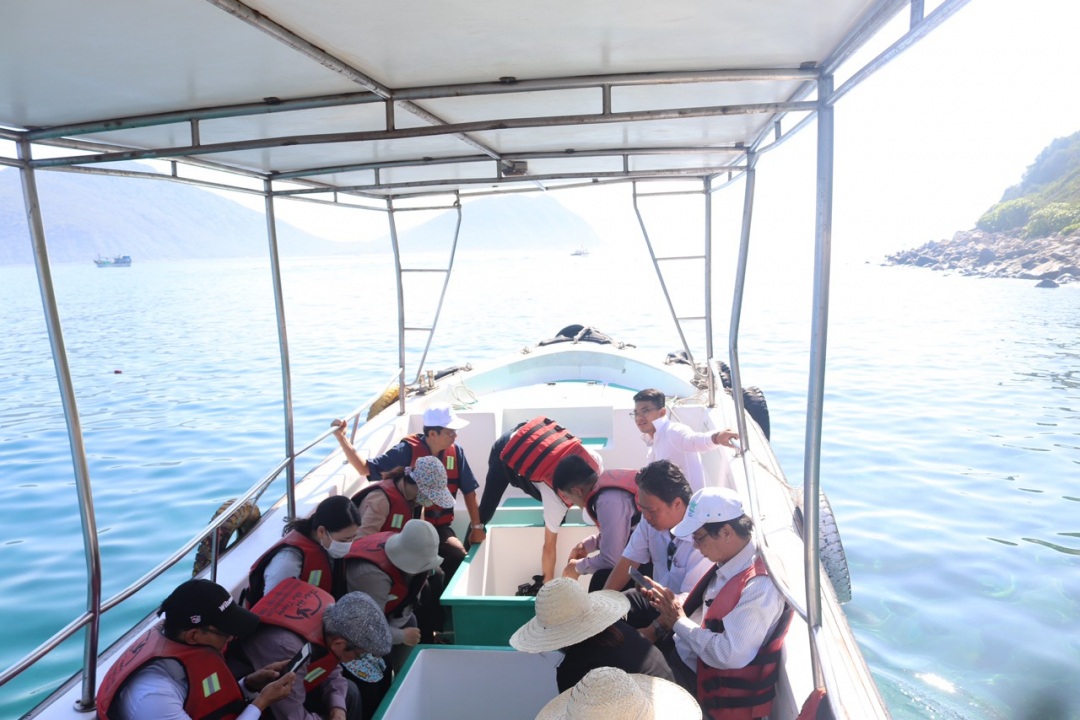 Coral recovery survey on Nha Trang Bay