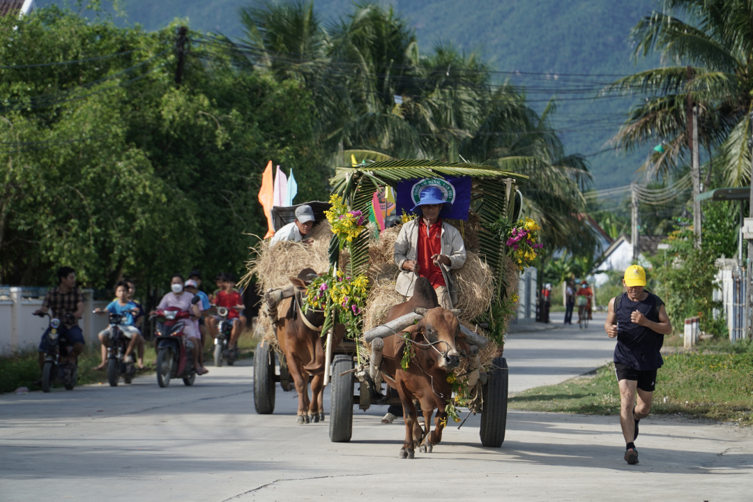 Exploring thrill and excitement of ox-cart race