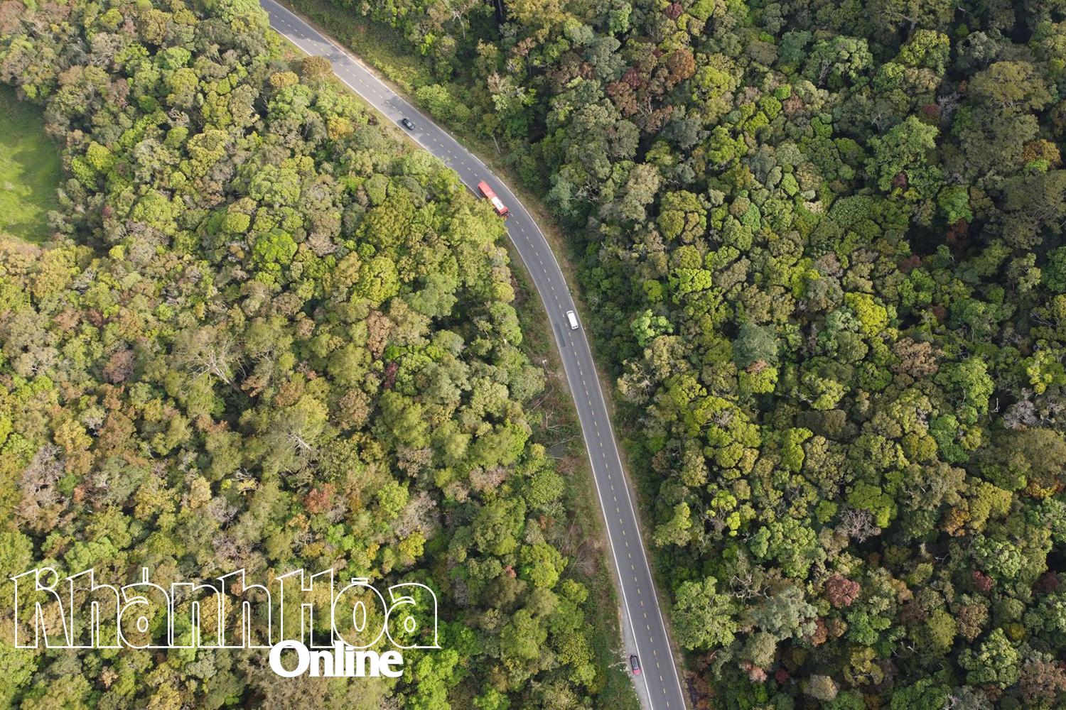 Protecting forests for sustainable development