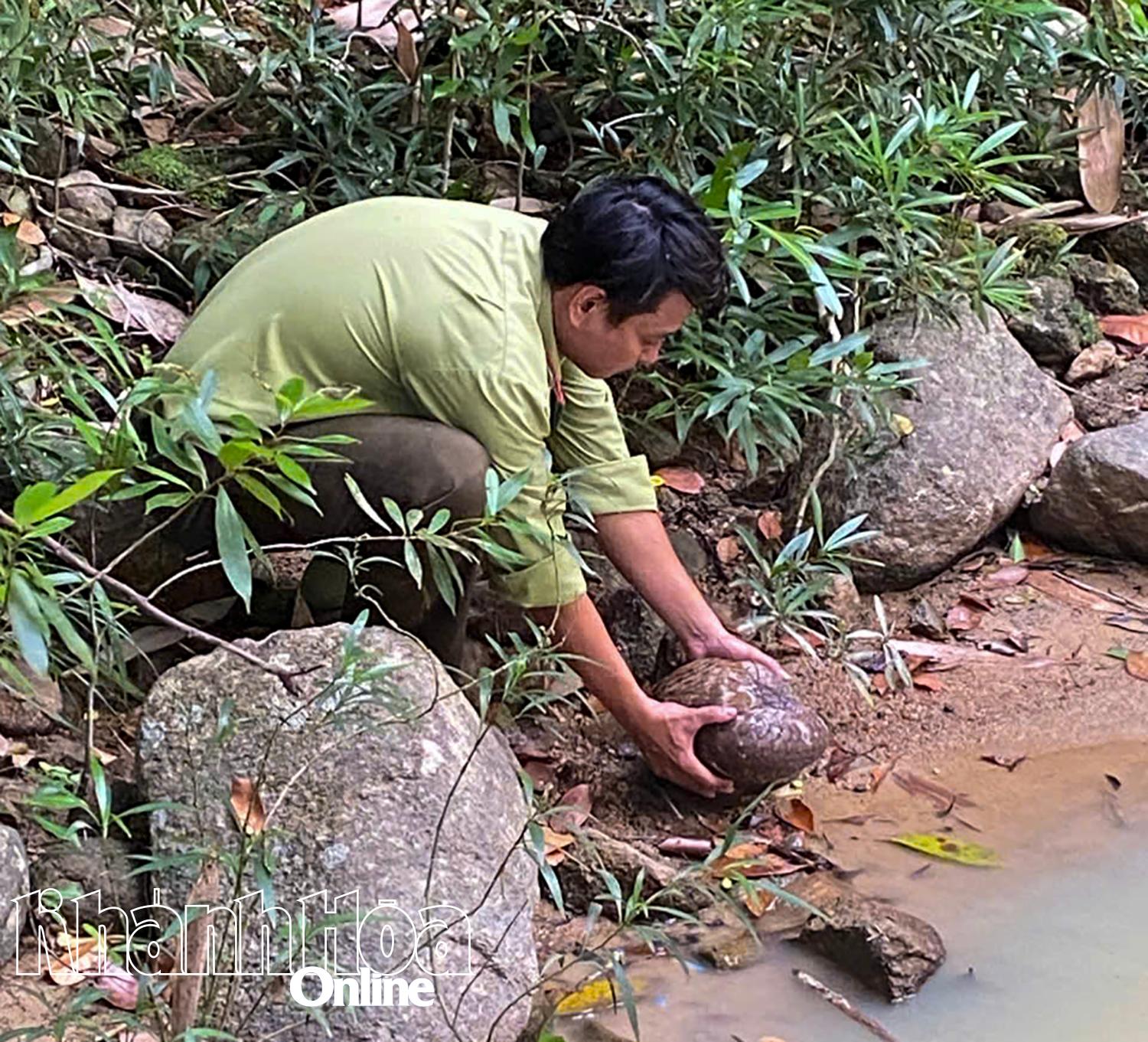 4 endangered fauna individuals released into wild