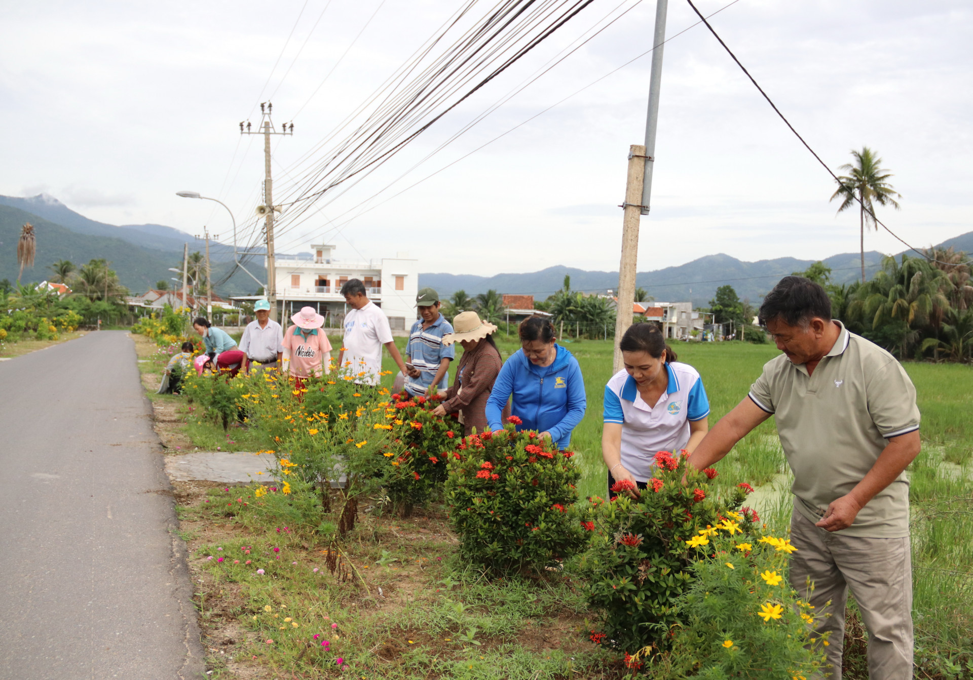 For clean, green and beautiful roads