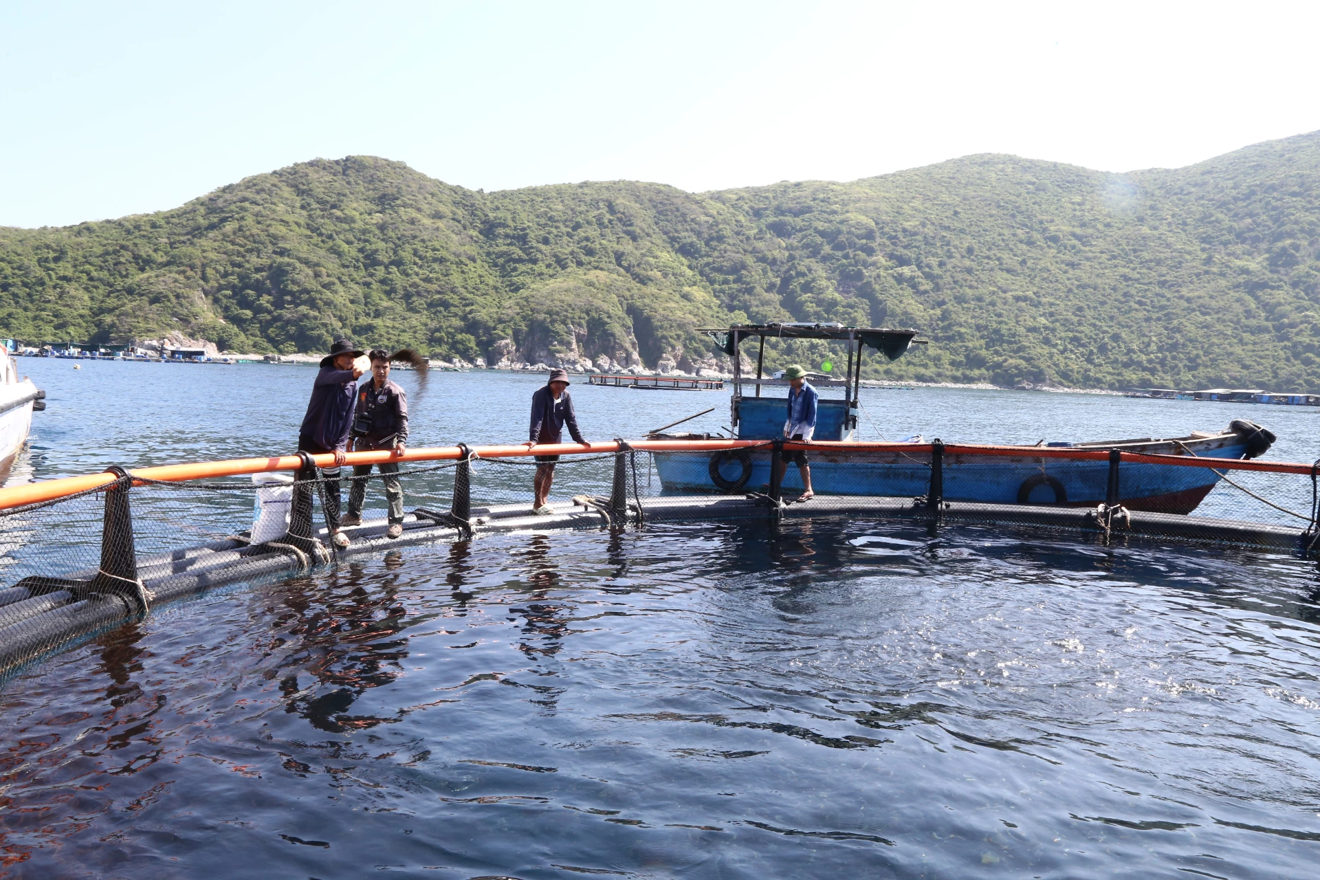 Two businesses licensed for marine aquaculture