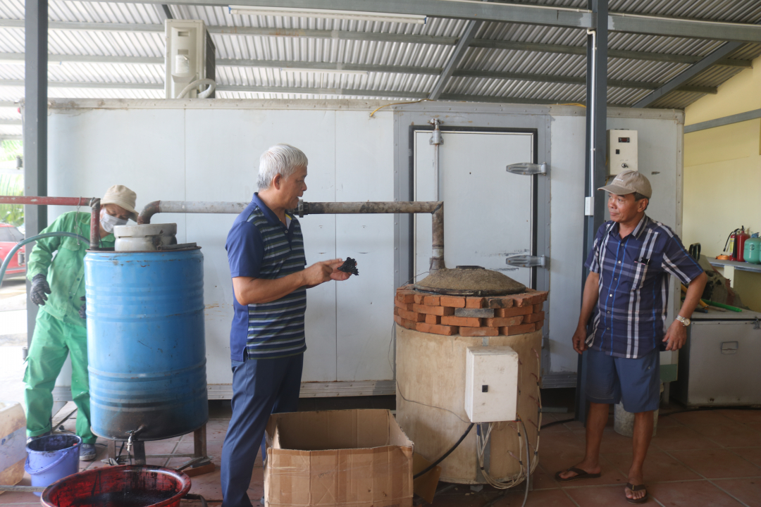 Producing biochars from durian peel