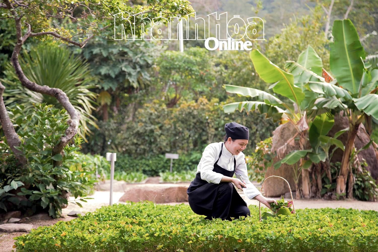 Khanh Hoa pioneers in developing green tourism
