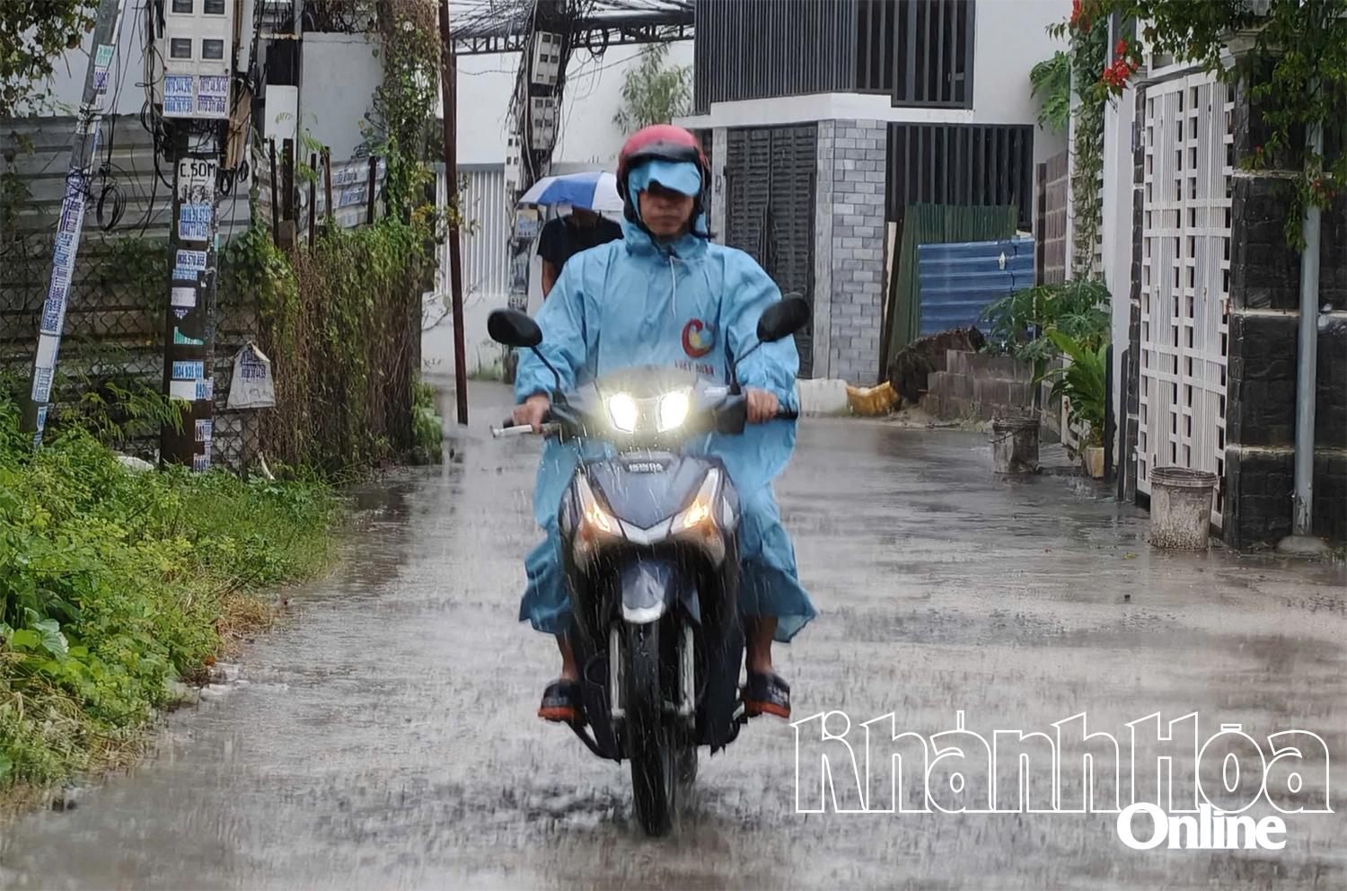 Widespread thunderstorm warning