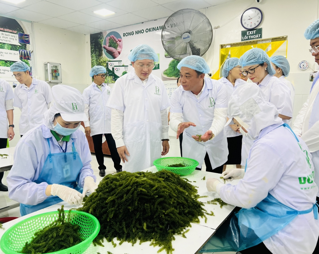 Typical rural industrial products at national level: Opportunities to promote and develop brands