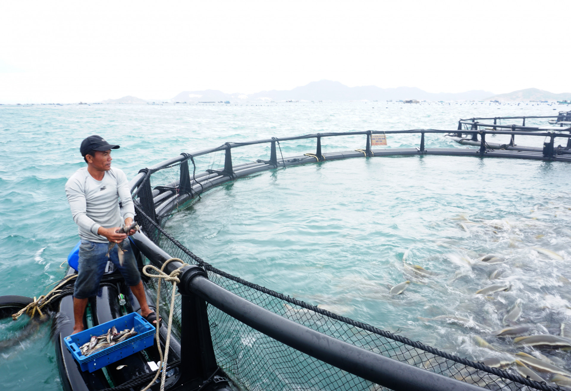 Sustainable development of aquaculture