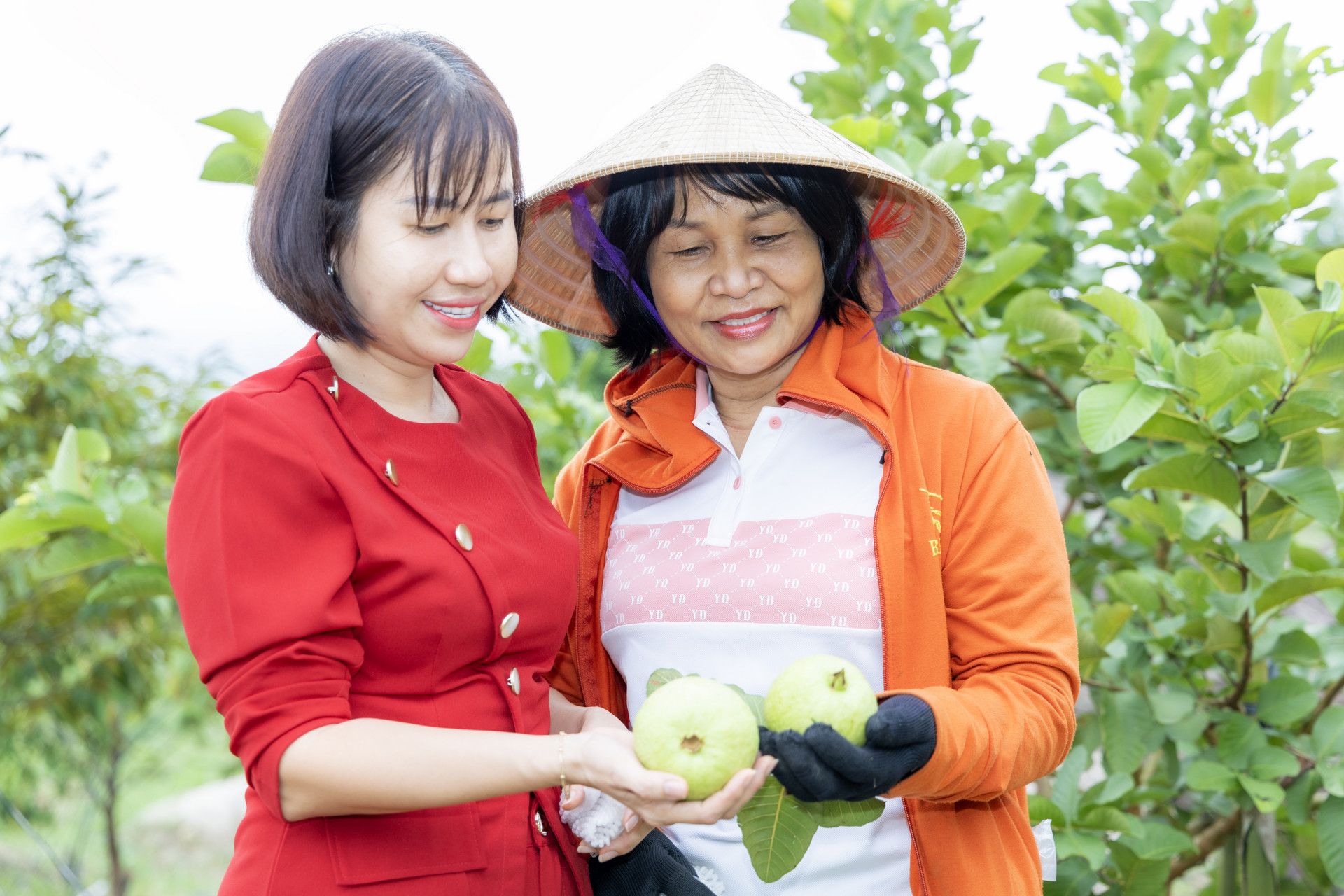 OCOP products in mountainous areas responding to green transformation