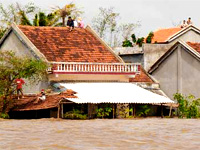 Typhoon Mirinae causes VND 450b damage