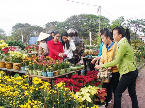 Many new year activities to be held in Khanh Hoa