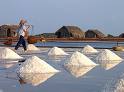 1,000 ha of sea-salt farms in Khanh Hoa