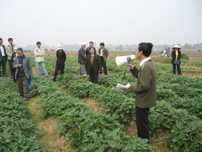 VND1.5bil. for agriculture, forestry and fishing encouragement