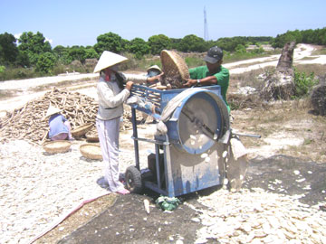 Cassava goes for good price