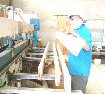 Cam Ranh’s industrial growth rate overfulfills 2006-2009 target