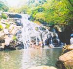 New entertainment services for April 30 and May 1 holiday