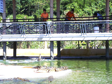 Yang Bay Tourist Park to offer free show games on Reunification Day