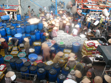 Natural fishery yield reaches 29,000 tons