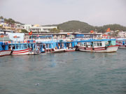 Vietnam’s tourism grows by over 30%