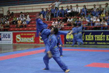 130 join 2010 Khanh Hoa Vovinam Tournament