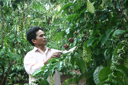 New image of Son Lam Commune (Khanh Son, Khanh Hoa)