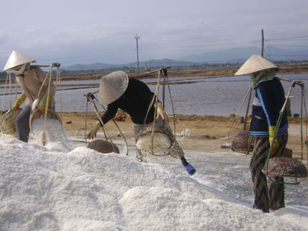 Salt price between VND450 – 700/kg