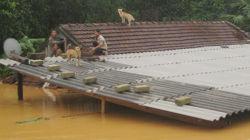 Flooded victims appeal to international help