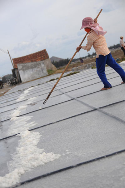 Producing clean salt oriented in Khanh Hoa Province