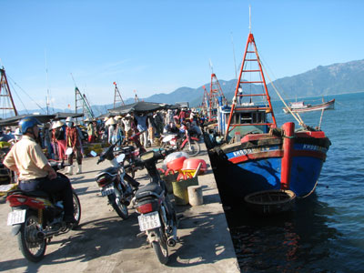 11,500 tons of seafood caught