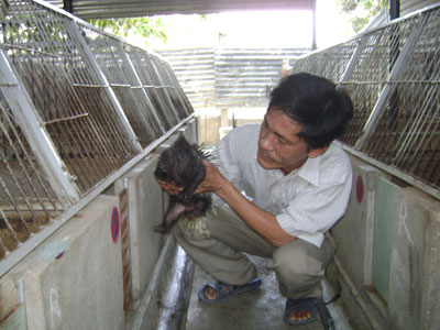 Getting rich by raising porcupines