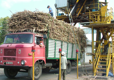 Ninh Hoa Sugar JSC confirms position on international integration way