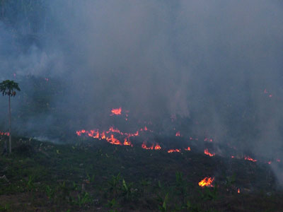 Urgent methods taken to prevent wildfire in Khanh Son
