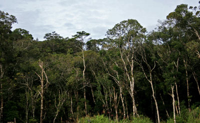 Hon Ba, “second Da Lat” in Khanh Hoa