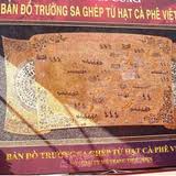 Map of Truong Sa made from coffee beans revealed