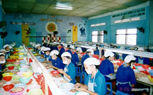 Export turnover hits USD610 million