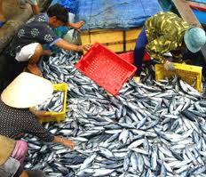Fishery output hits 52,000 tons