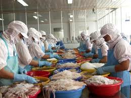 Fishery export turnover estimated at USD196m