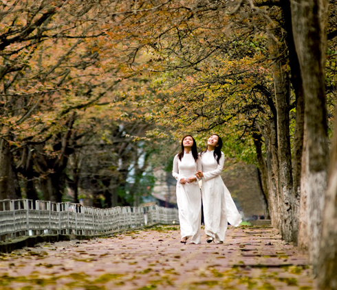 Vietravel offers three discounts on autumn tours