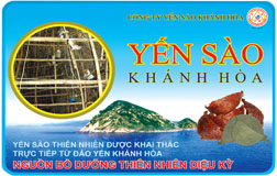 Khanh Hoa Salangane Nest, specialty of international stature