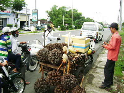 Nypa fruticans brought into Nha Trang market for first time