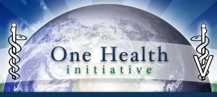 Vietnam One health National University Network Workshop in Nha Trang