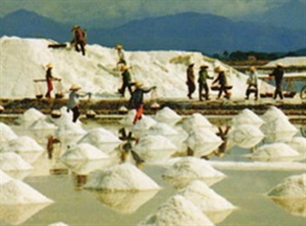 Salt production hits nearly 37,000 tons